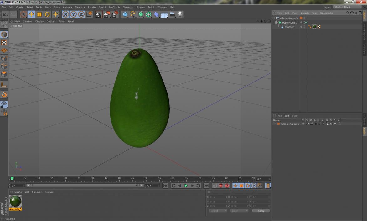 3D Whole Avocado model