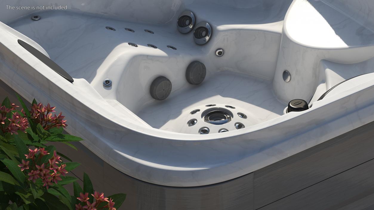 3D Jacuzzi J475 Spa Hot Tub Platinum model