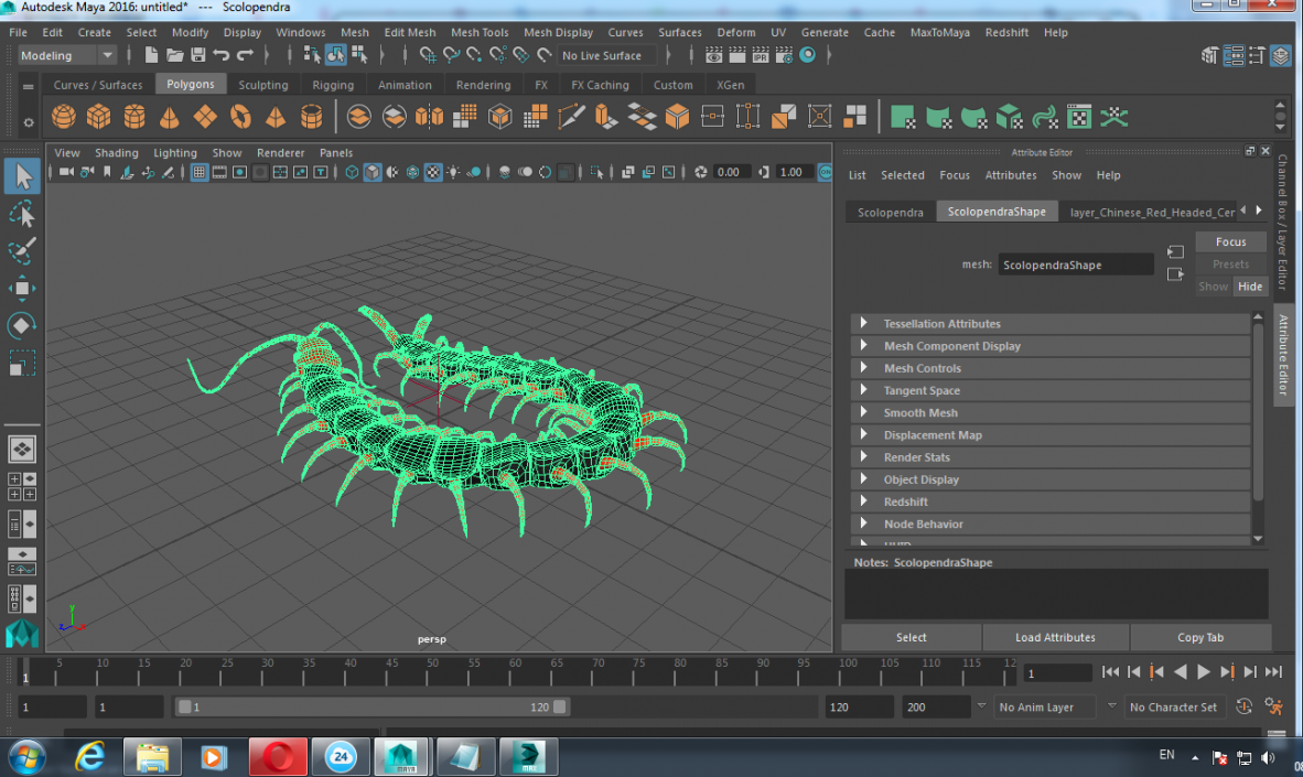 3D Chinese Red Headed Centipede model