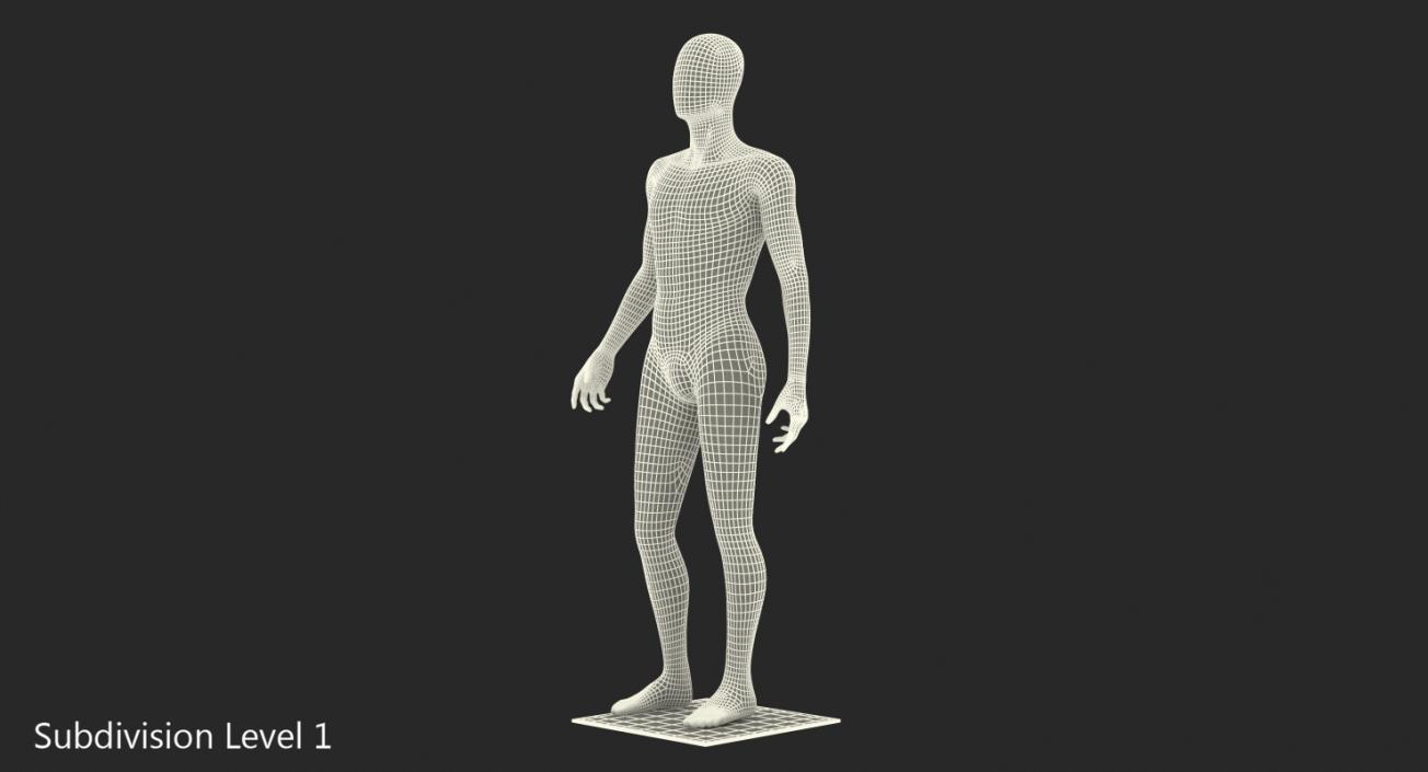 3D Male Mannequin Standing Pose model