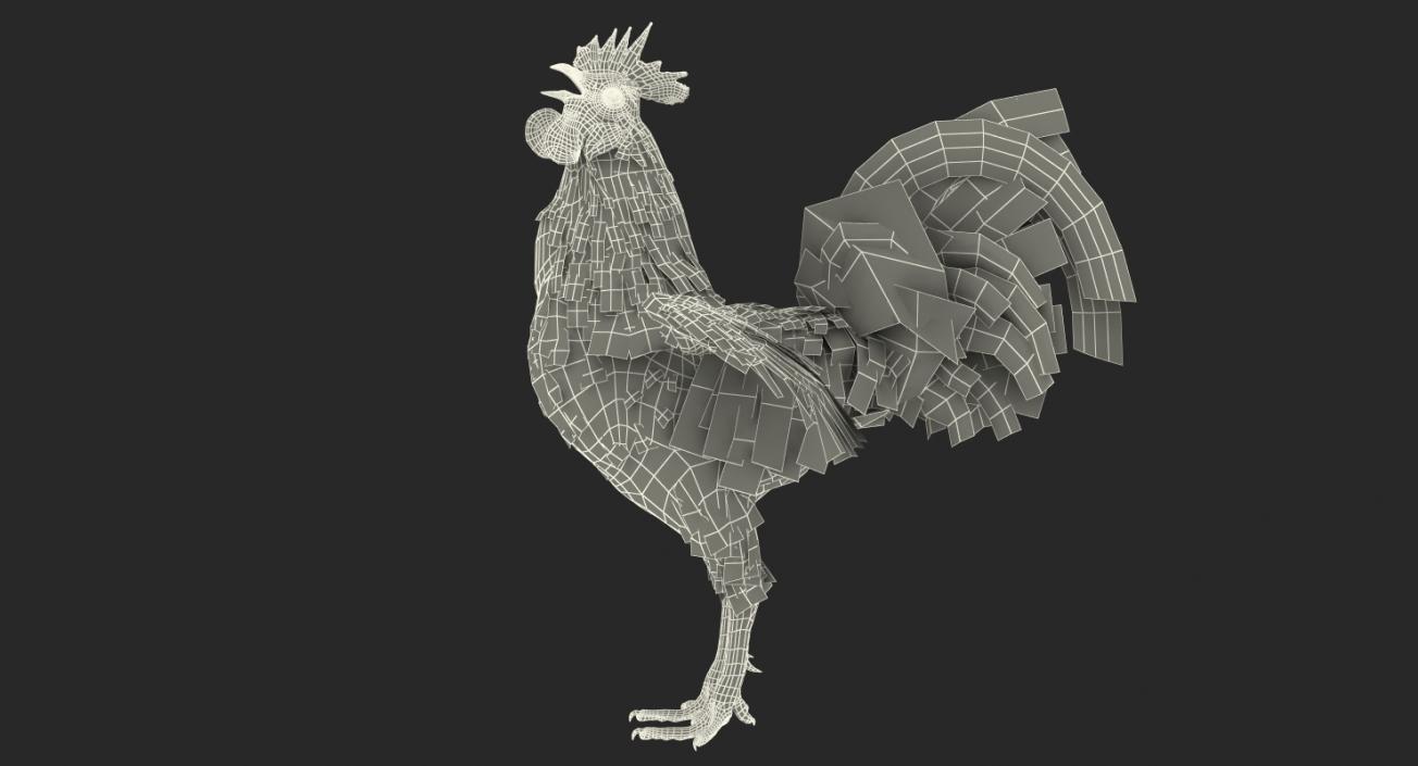 3D model Cock Crows
