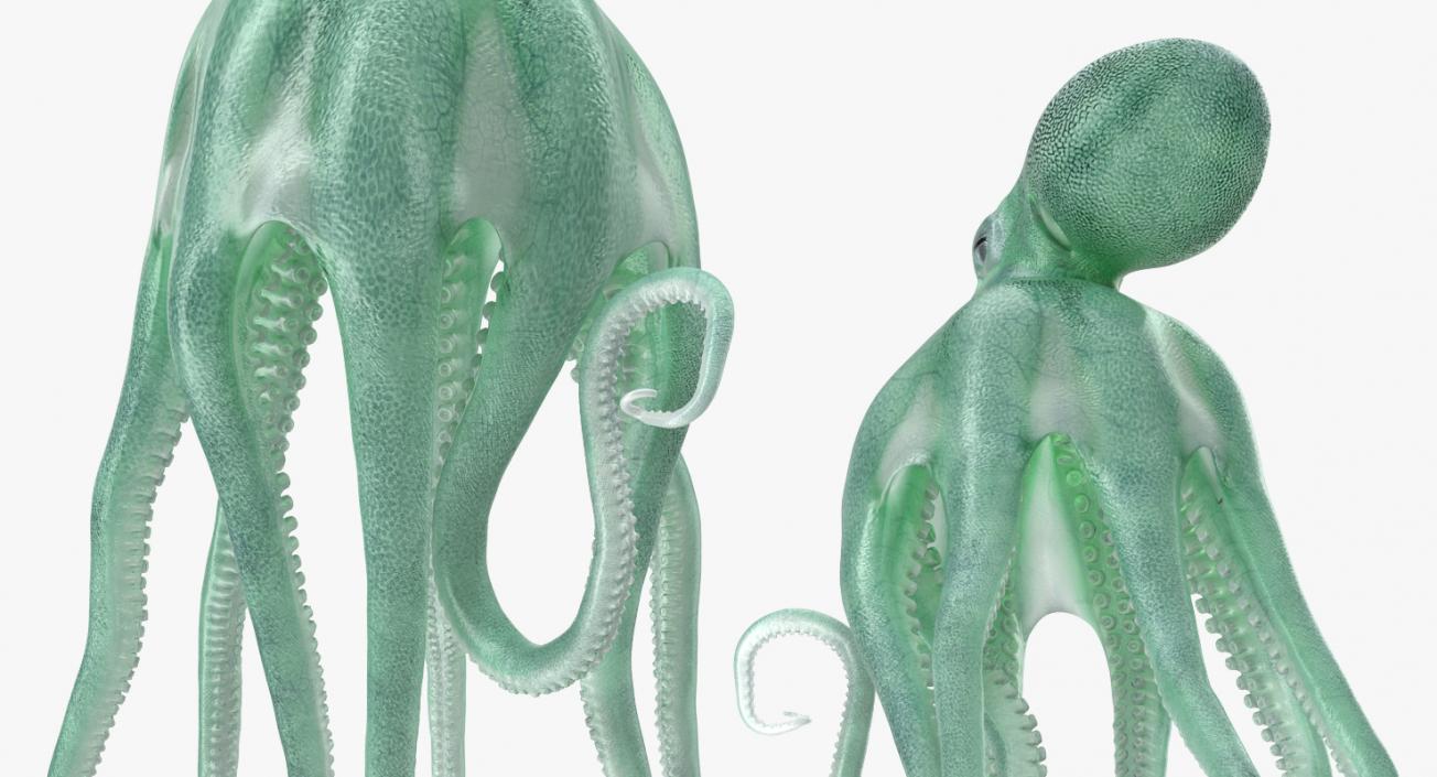 3D model Blue Octopus Swiming Pose
