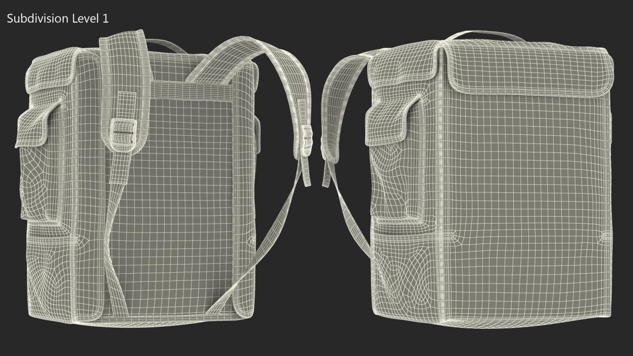 Insulated Food Delivery Bag 3D