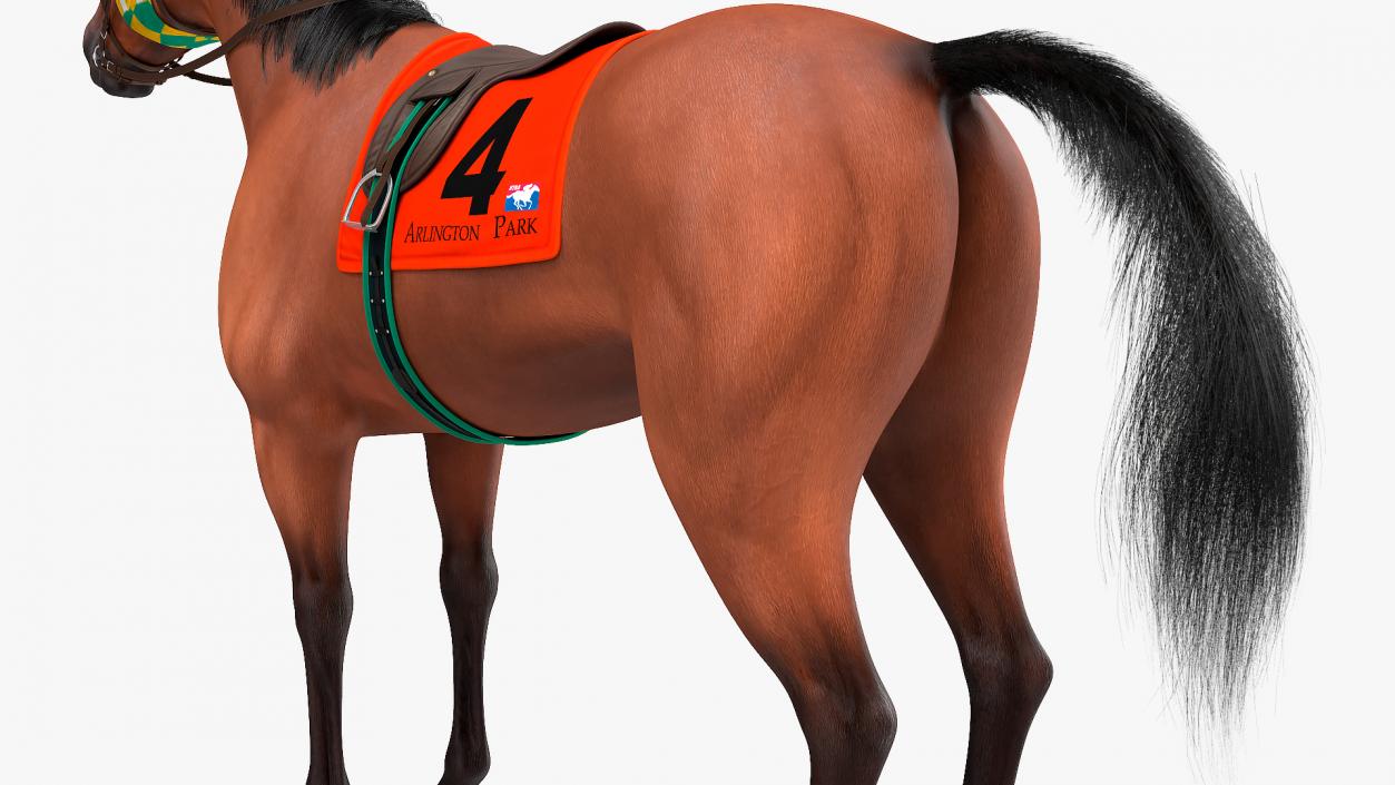 3D model Bay Racing Horse Fur