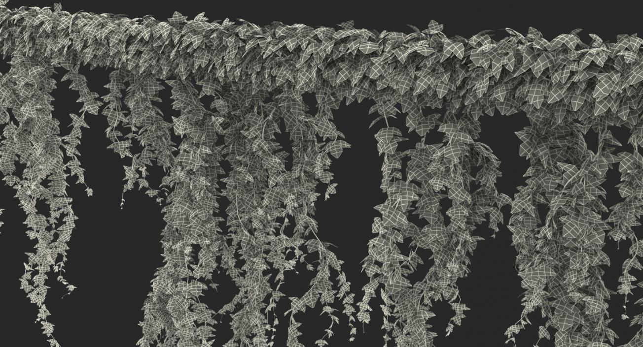 Ivy Branches 3D