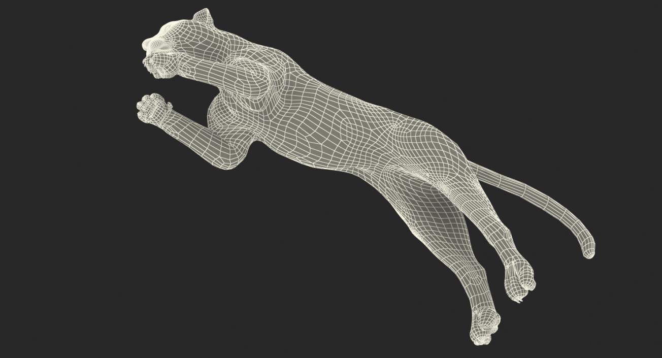 3D Panthera Uncia Jumping Pose with Fur