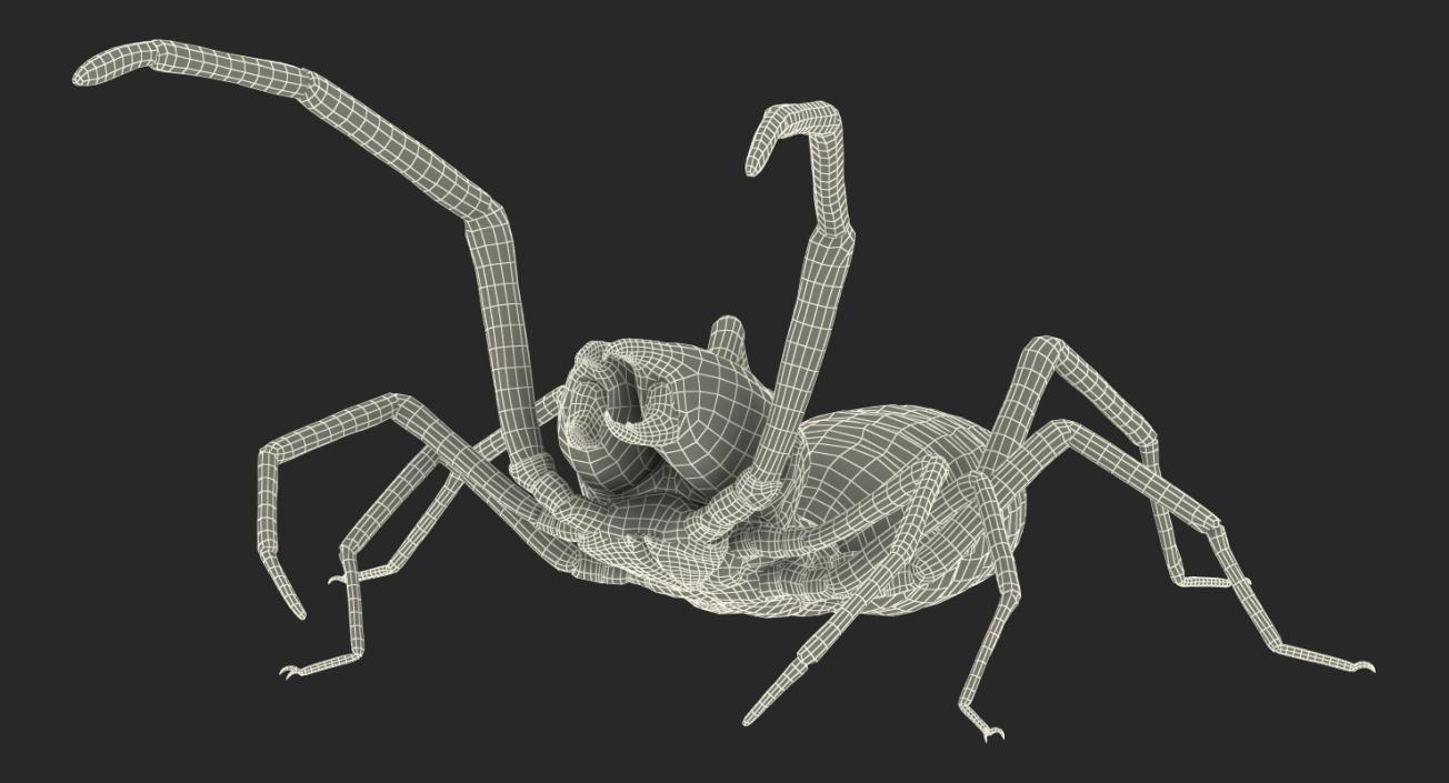 Insects Big Rigged Collection 3D model