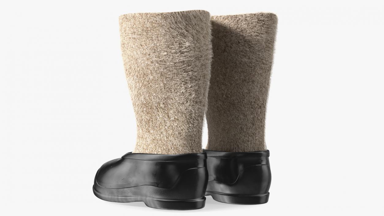 3D Traditional Felt Boots with Galoshes Black Fur
