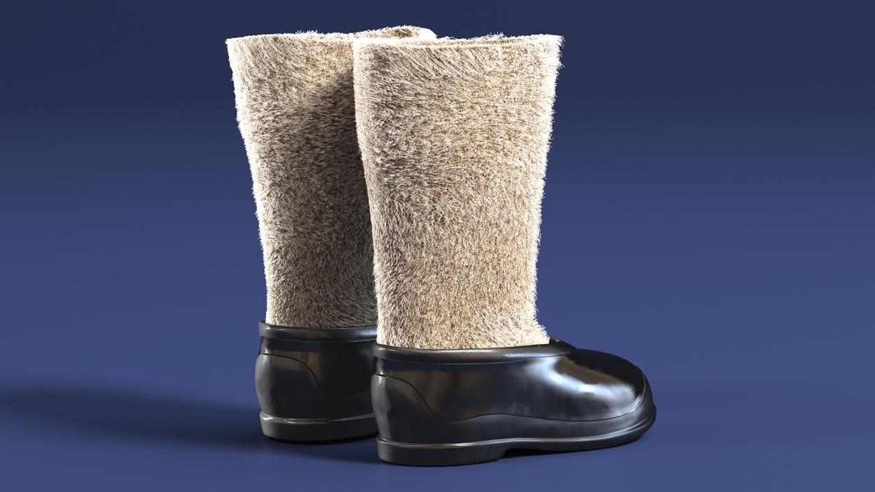 3D Traditional Felt Boots with Galoshes Black Fur