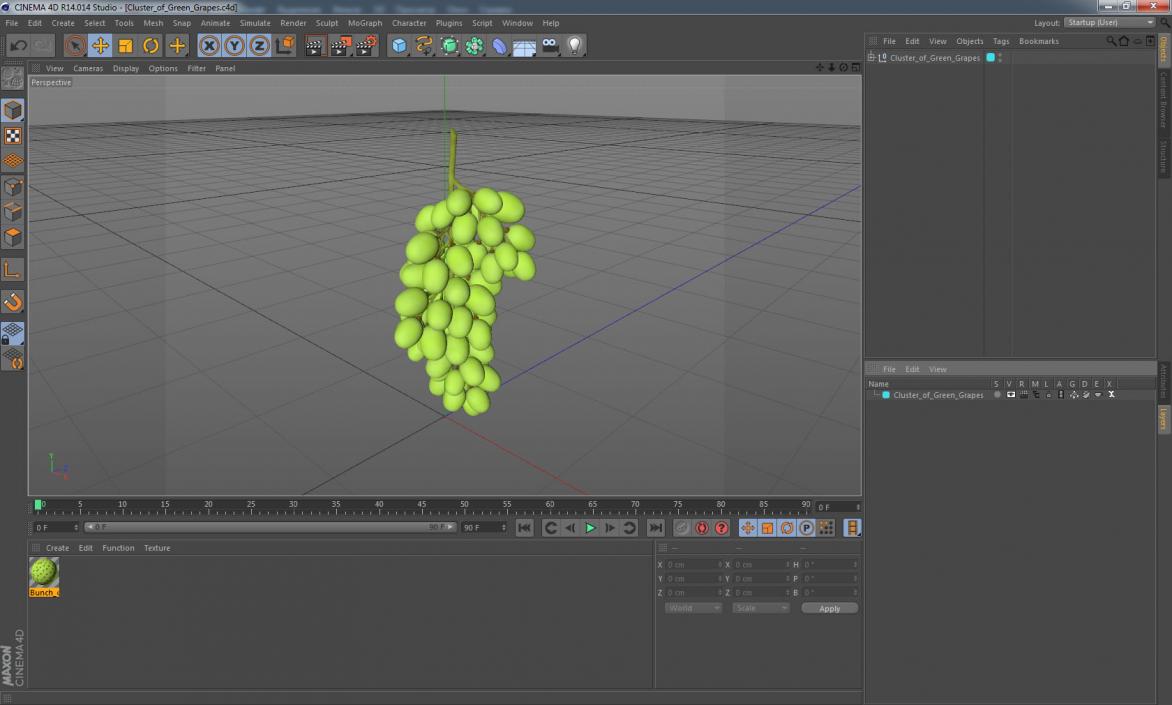 3D Cluster of Green Grapes model