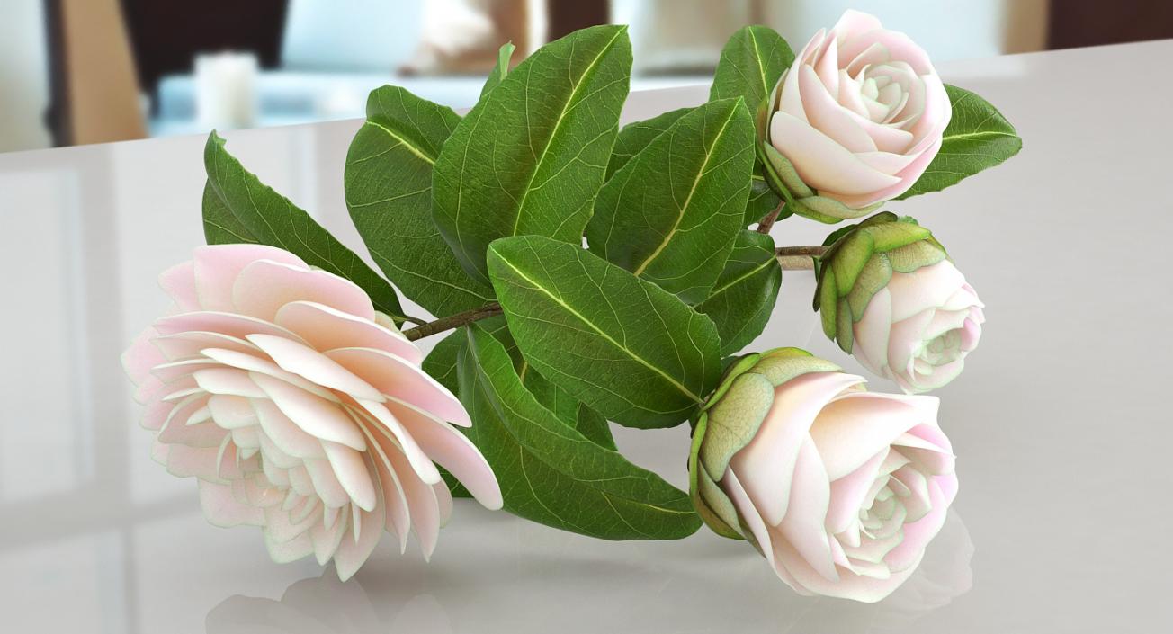 3D White Camellia Flower