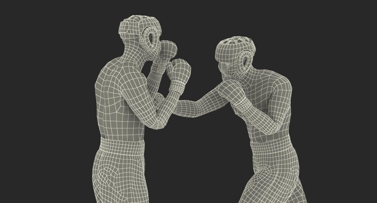 Two Boxers Fighting 3D model