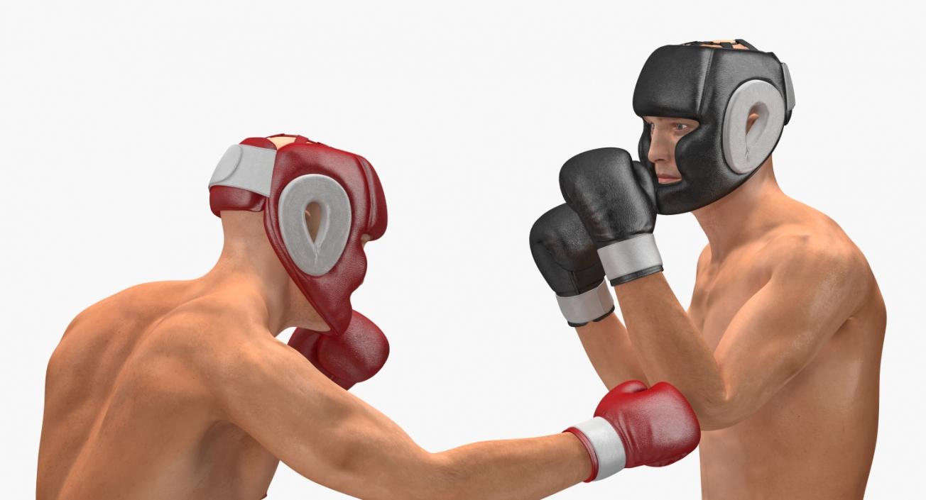 Two Boxers Fighting 3D model