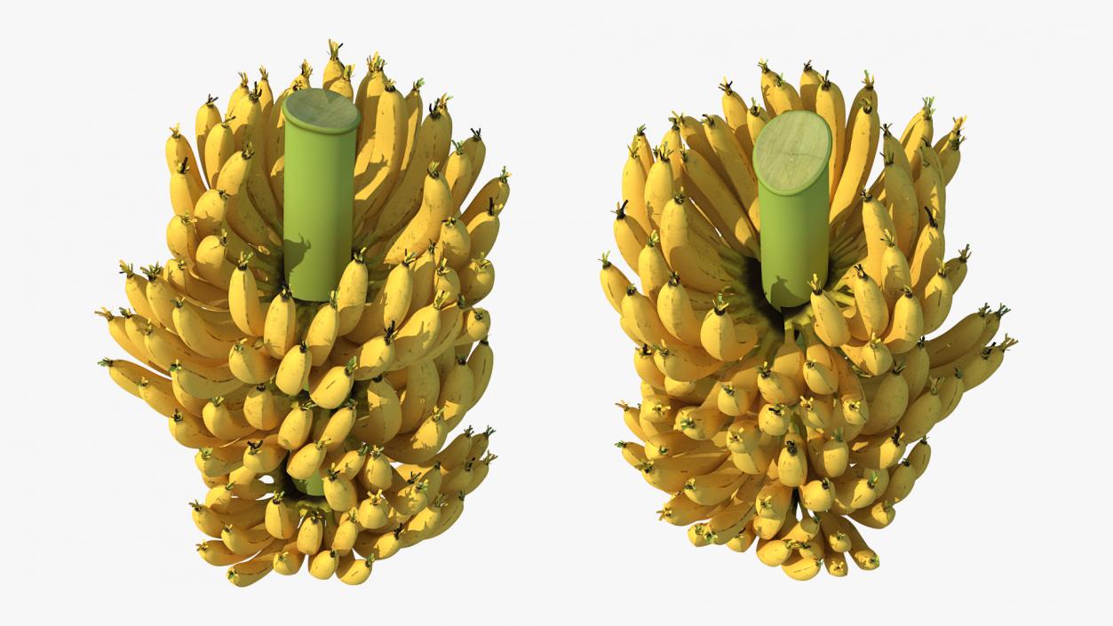 3D Ripe Yellow Banana Cluster