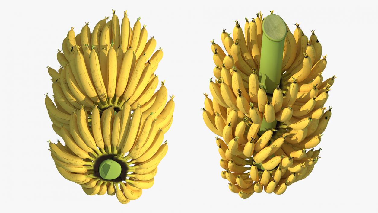 3D Ripe Yellow Banana Cluster