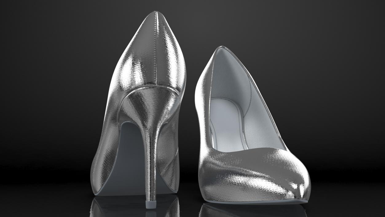 Silver Shoes 3D