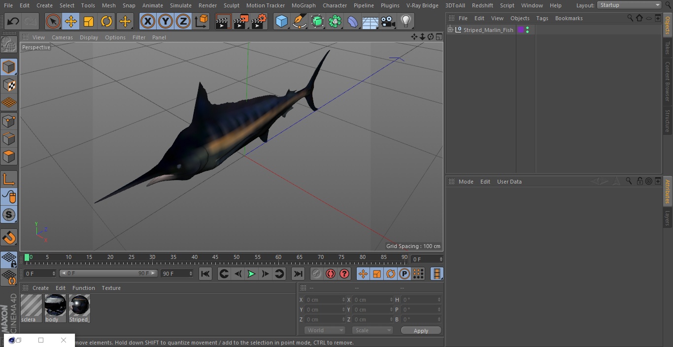 Striped Marlin Fish 3D model