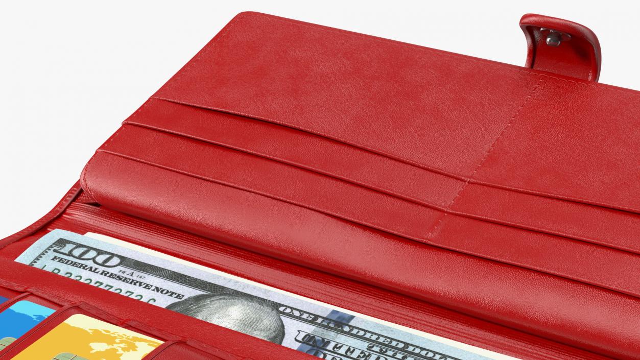 3D model Women Long Wallet with Credit Card and Dollar