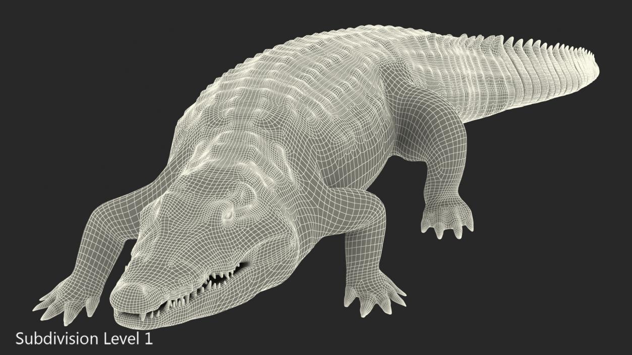 3D Animated Crocodile Walking Rigged model