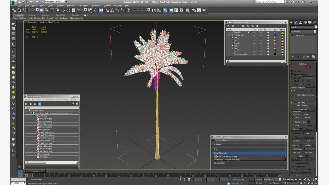 Florida Royal Palm Roystonea Regia 3D model