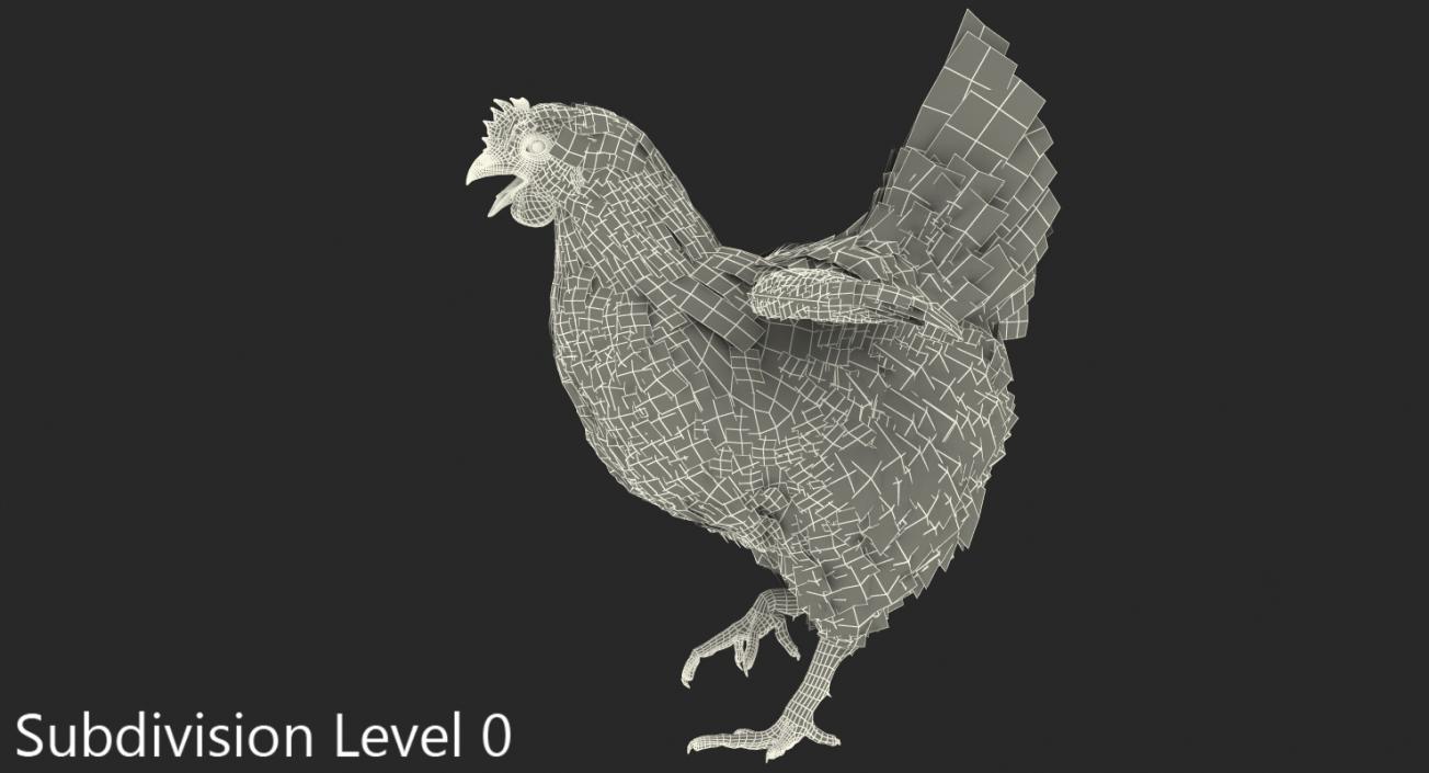 3D model White Chicken Rigged