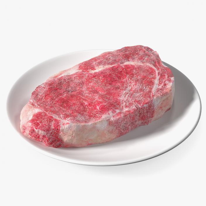Meat Slice Frozen on Plates 3D