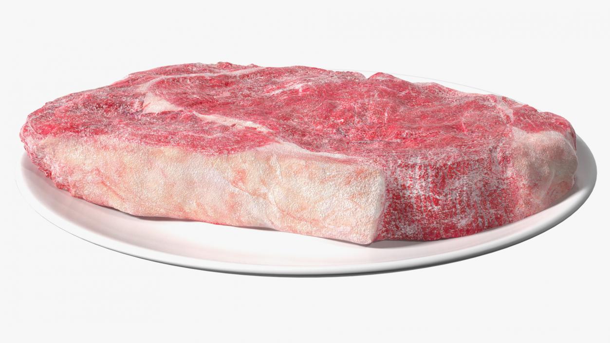 Meat Slice Frozen on Plates 3D