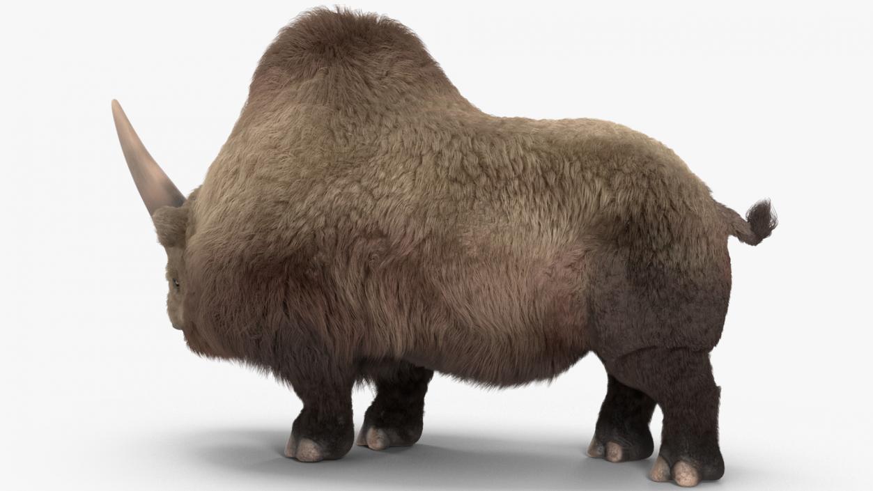 Elasmotherium Rigged Fur 3D model