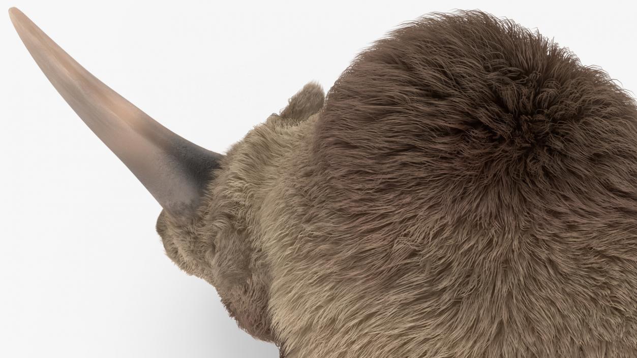 Elasmotherium Rigged Fur 3D model