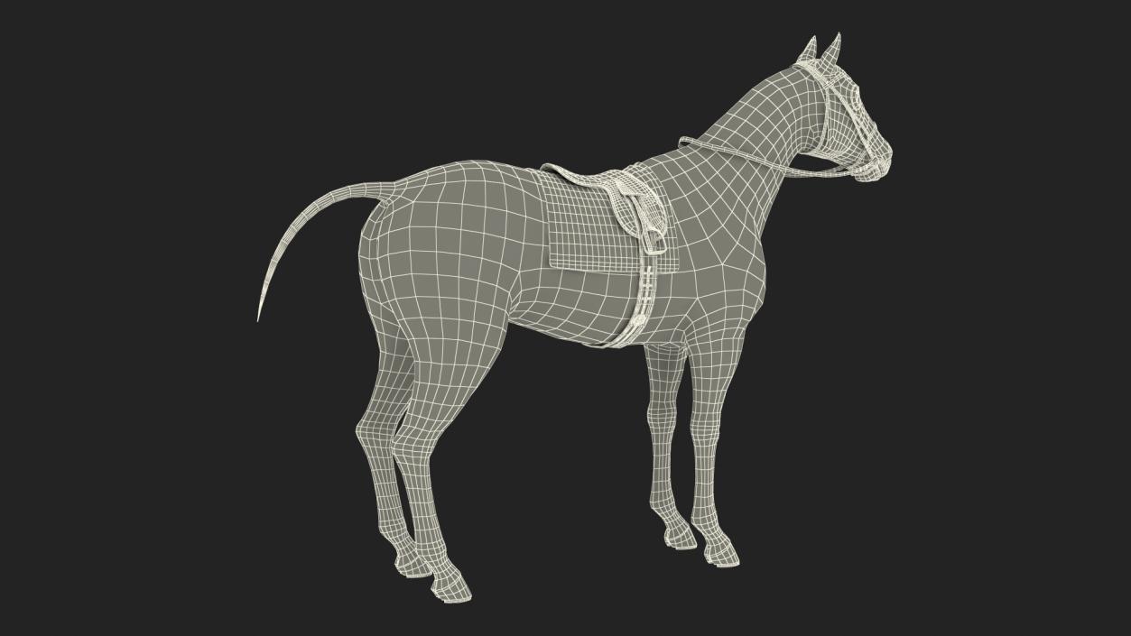 Bay Racehorse Fur Rigged 3D model