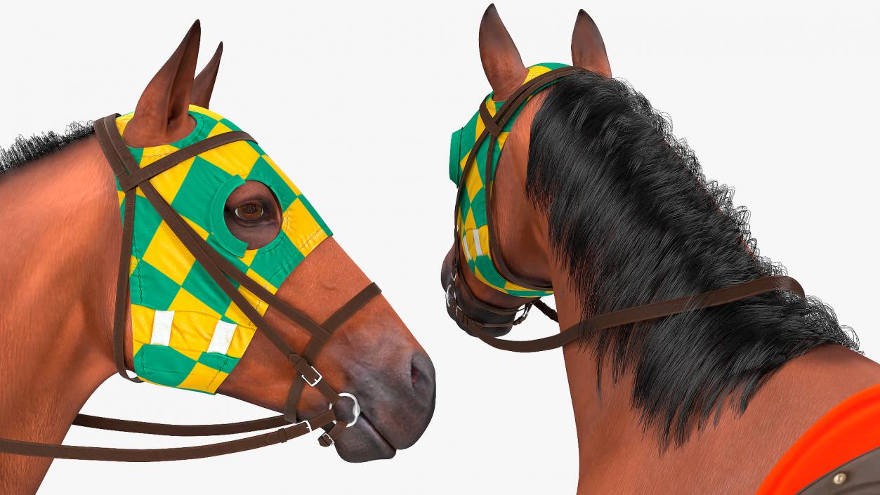 Bay Racehorse Fur Rigged 3D model