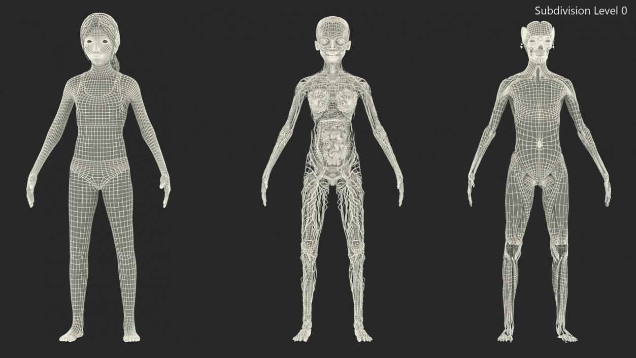 Complete Full Body Kid Girl Anatomy Fur 3D model