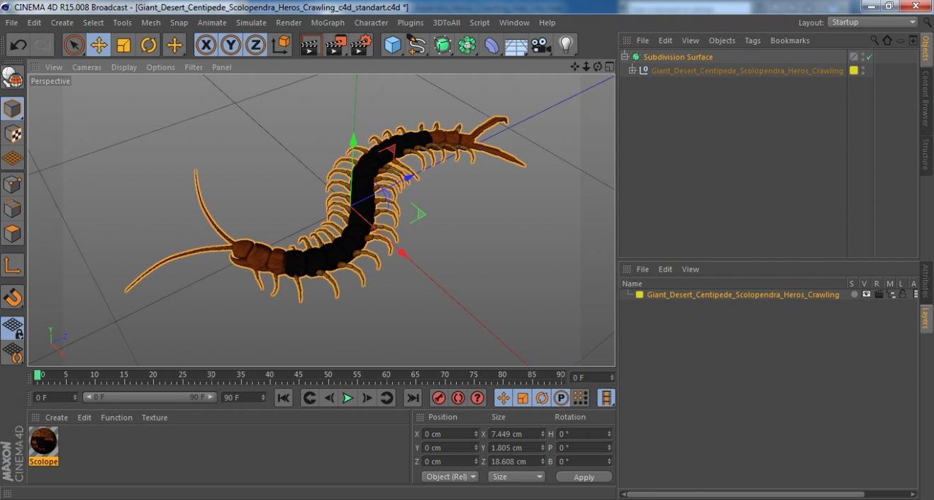 Giant Desert Centipede Scolopendra Heros Crawling 3D model