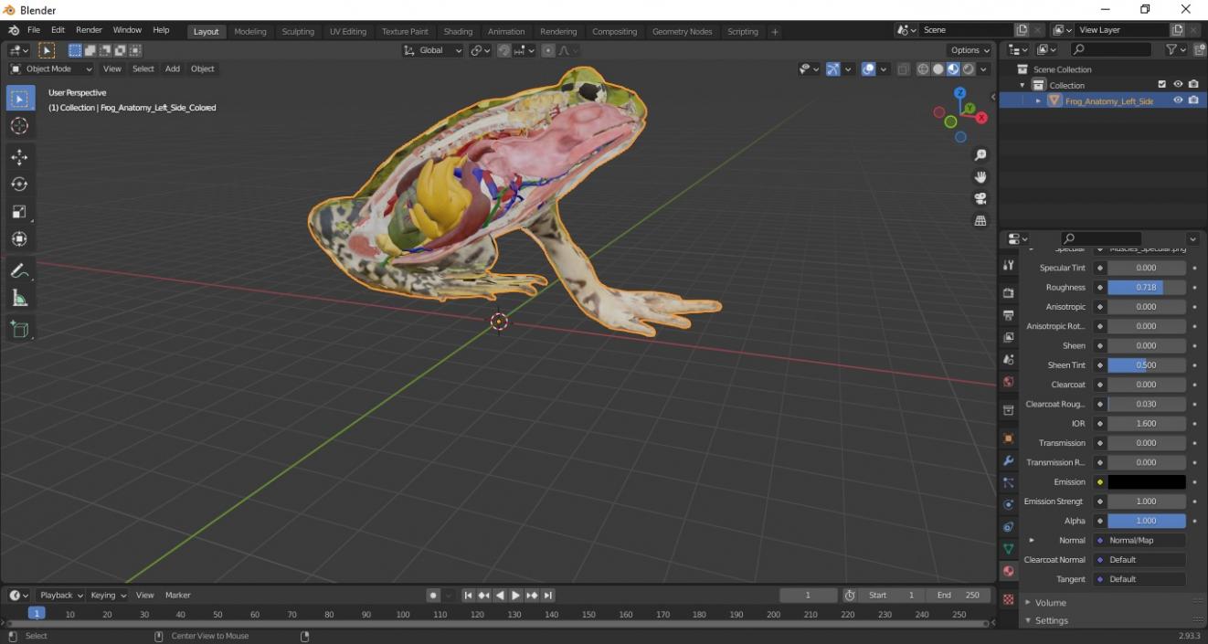 3D model Frog Anatomy Left Side Colored
