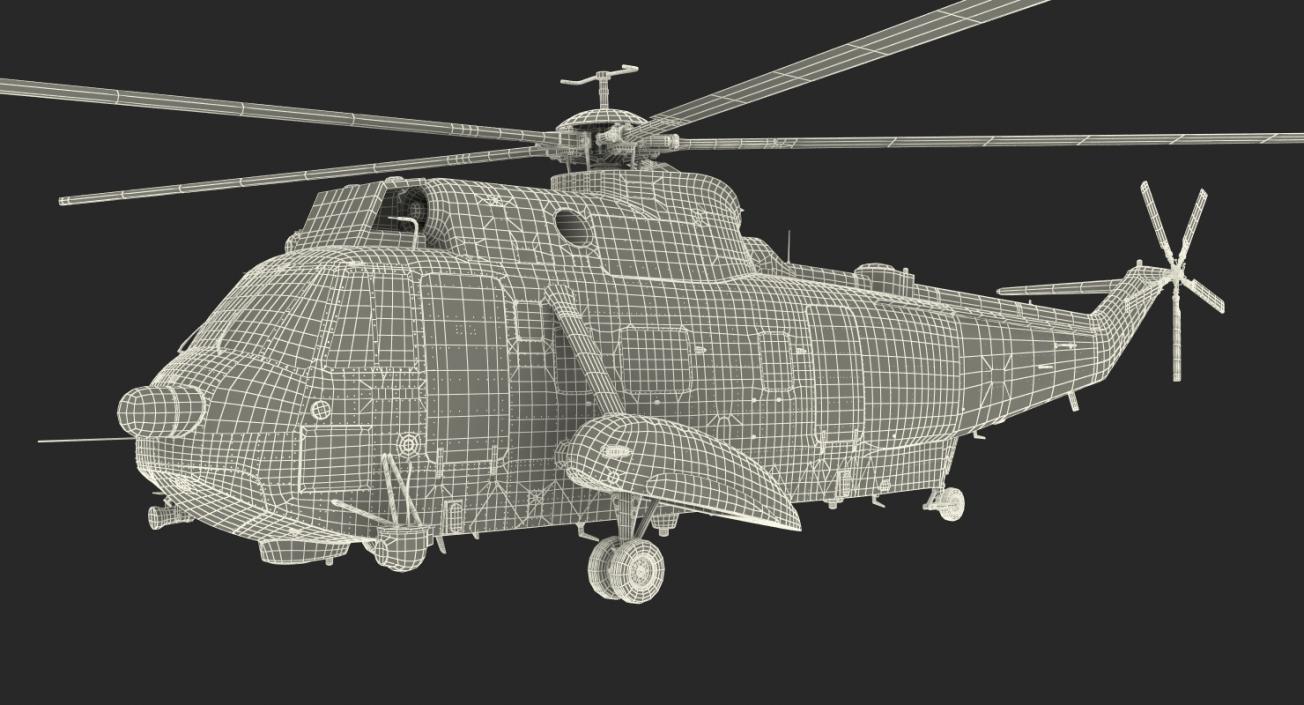 3D Irish Coast Guard Rescue Helicopter Sikorsky S 61 Sea King model