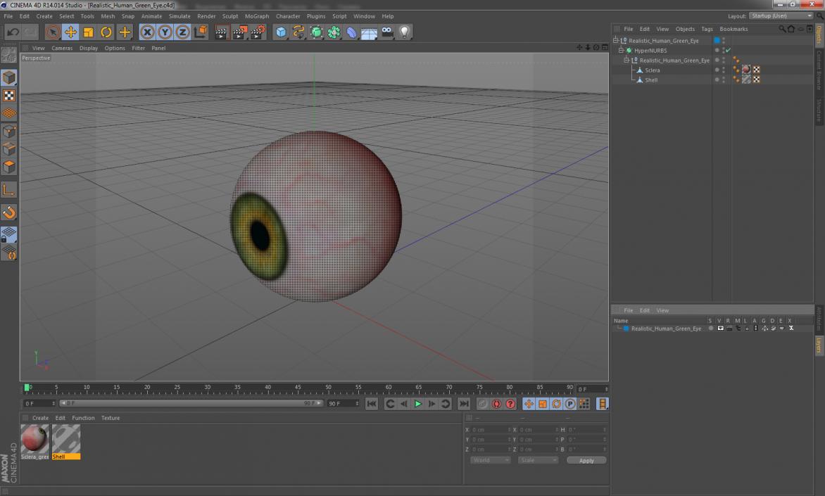 3D model Realistic Human Green Eye