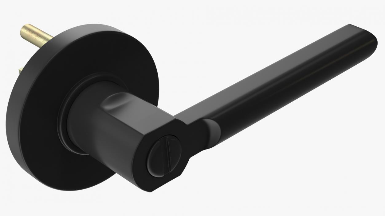 3D model Passage Door Lock with Handle Black