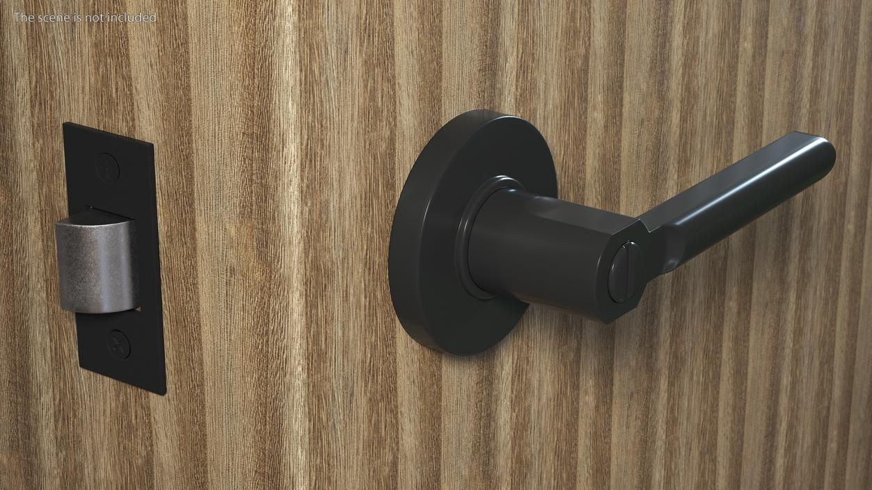 3D model Passage Door Lock with Handle Black