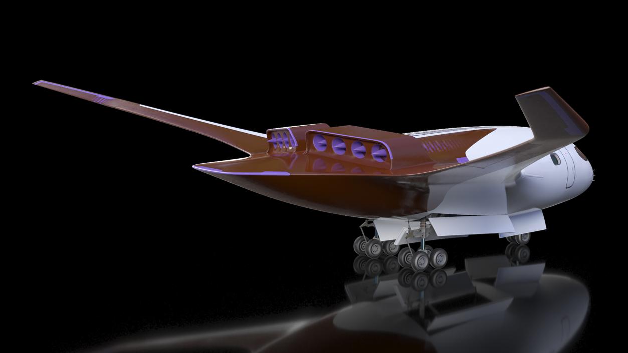 3D Ecological Aircraft Blended-Wing Body Rigged for Maya model