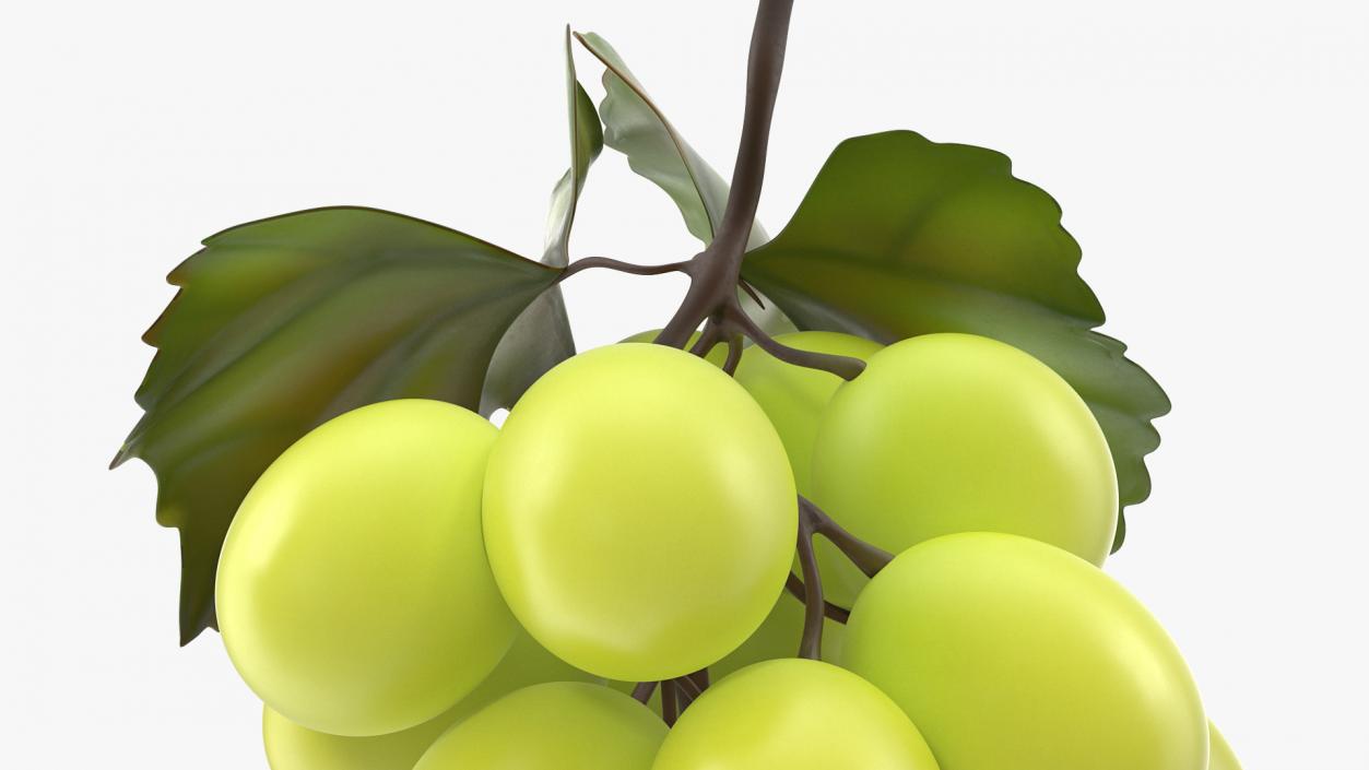 Bunch of Fresh Green Grapes 3D