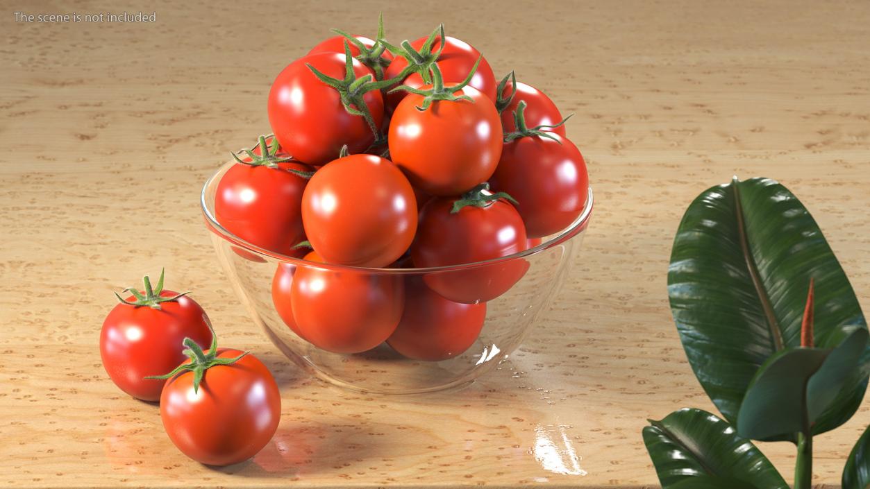 3D Cherry Tomatoes in Glass Bowl Fur model