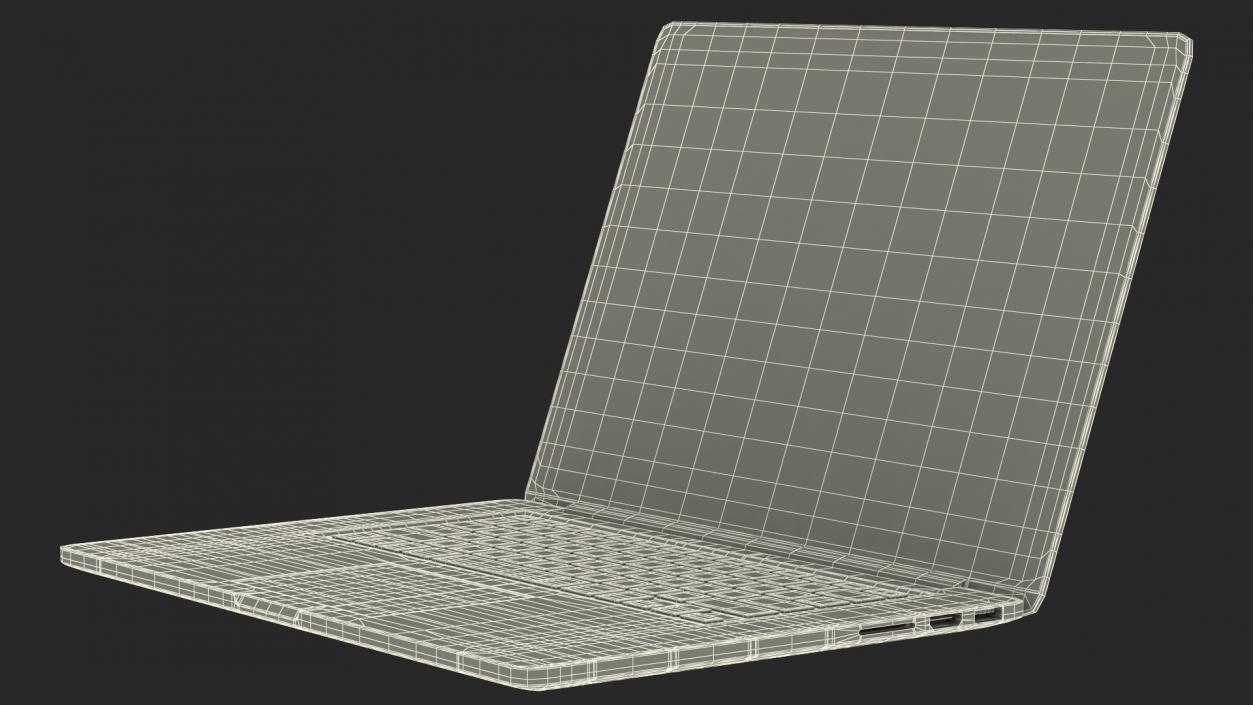 Ultraportable Laptop Silver 3D