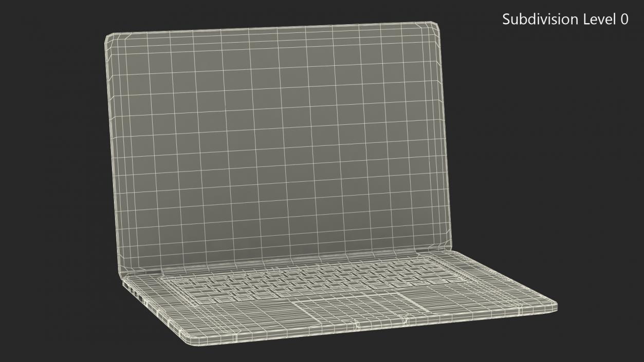 Ultraportable Laptop Silver 3D