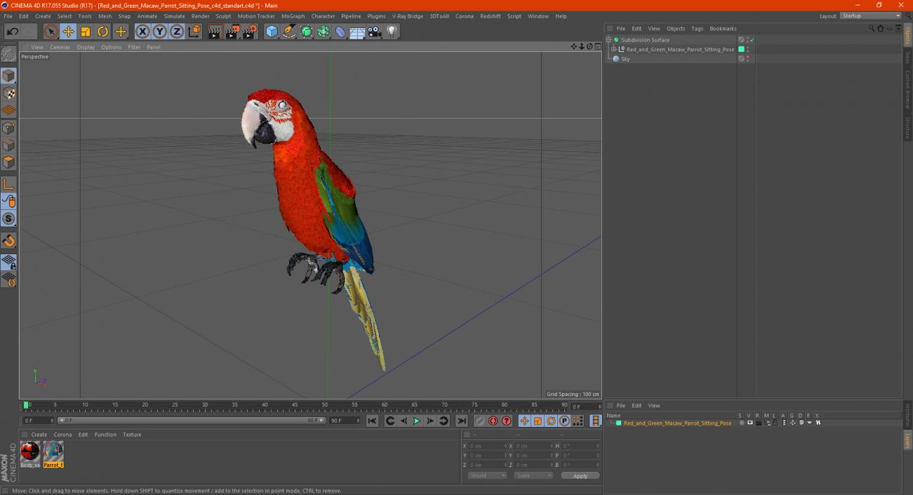 Red and Green Macaw Parrot Sitting Pose 3D model