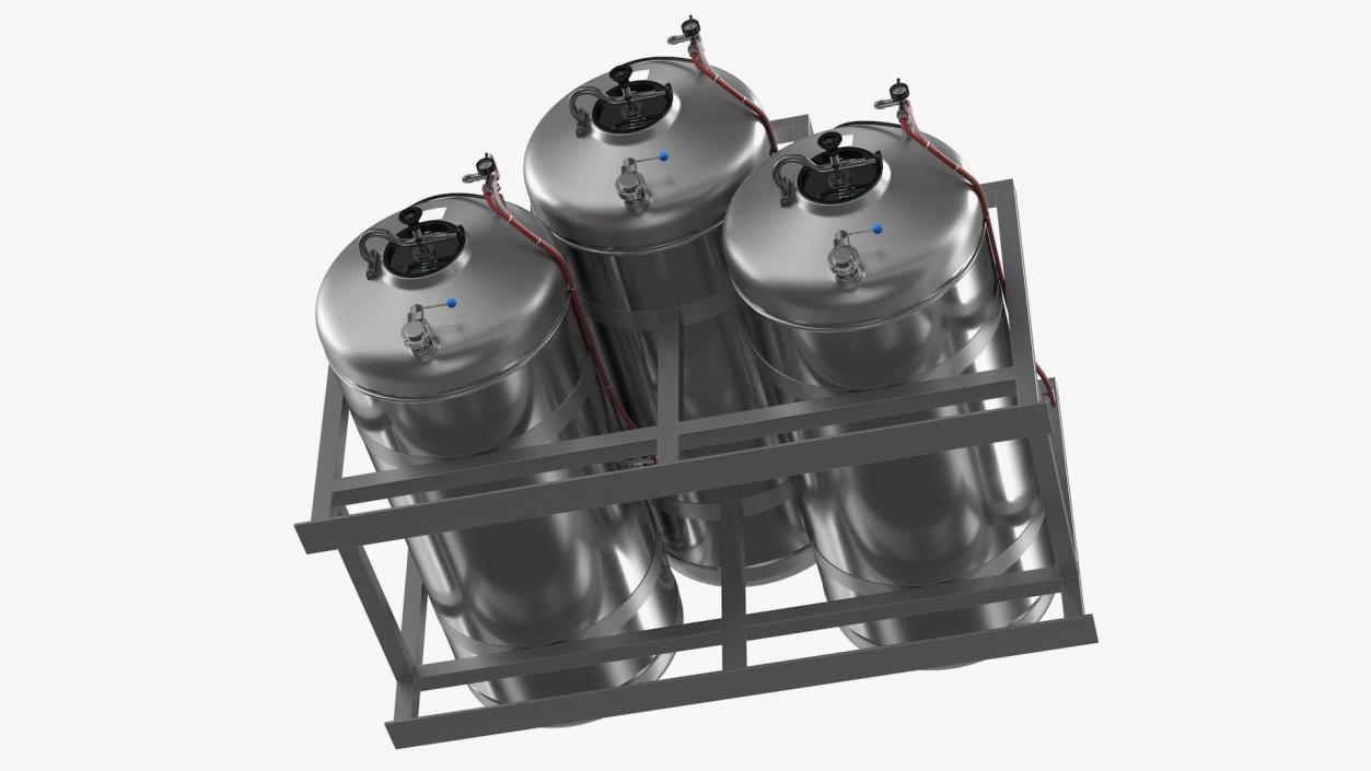 Beer Storage Tank System 3D model