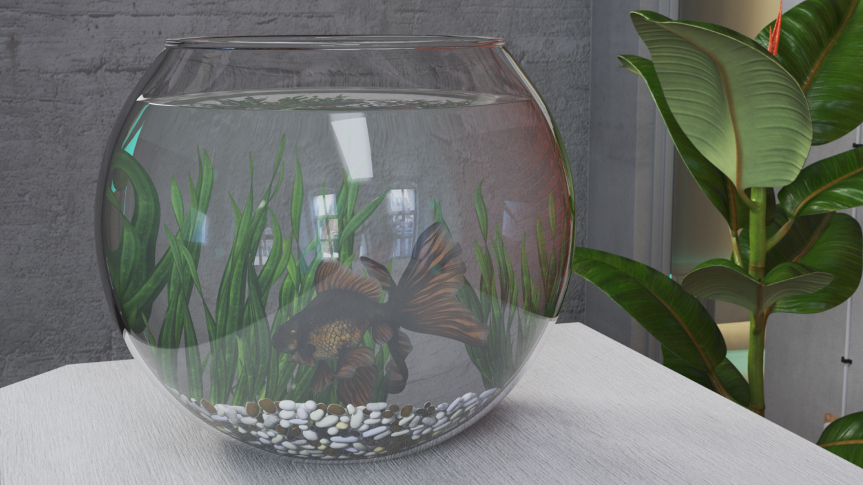 Round Aquarium with Black Moor Goldfish 3D model