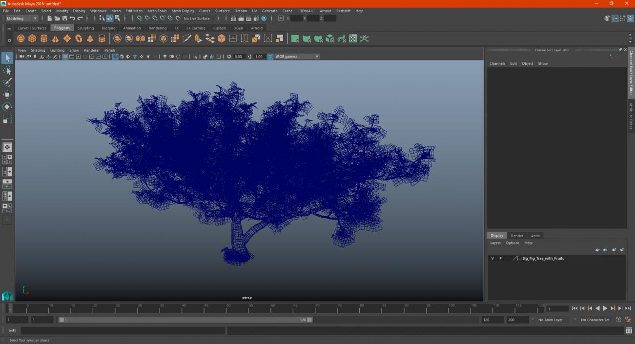 Big Fig Tree with Fruits 3D model