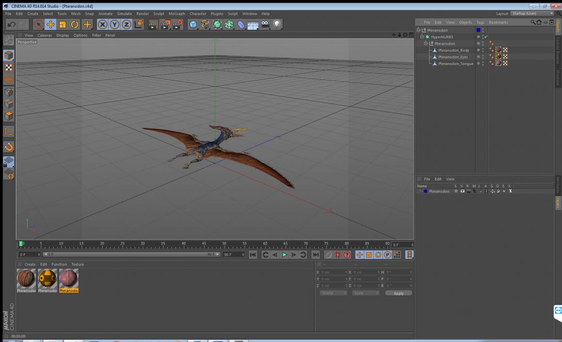 3D model Pteranodon