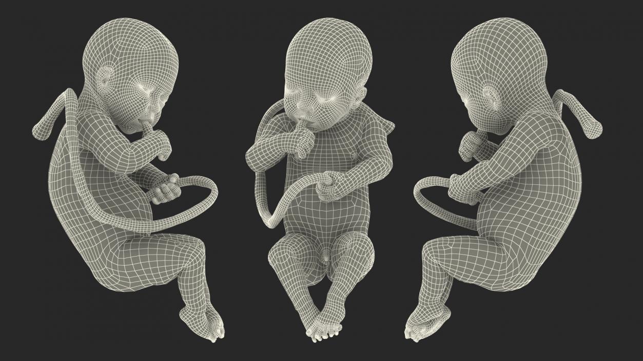 3D model Baby Boy at 32 Weeks