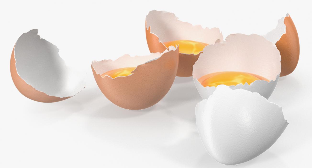 Broken Chicken Eggs 3D model